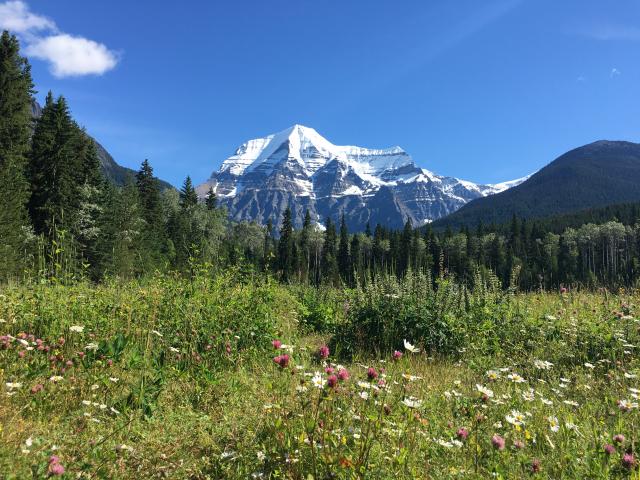 Berg Lake Trail