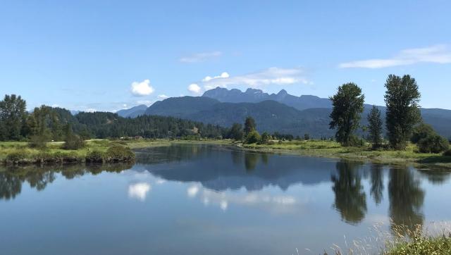 Pitt Meadows Dyke Trail System