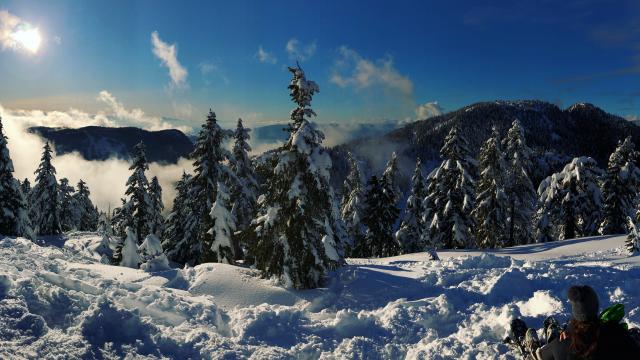 Hollyburn Mountain