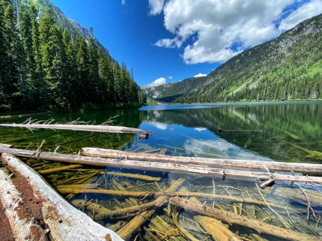 Falls Lake Trail