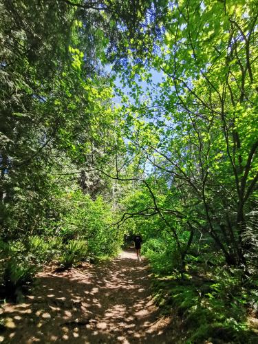 Byrne Creek Ravine