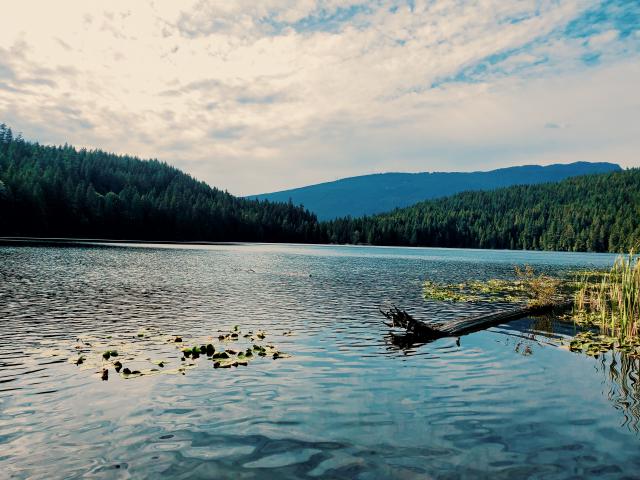 Trail Around Sasamat Lake