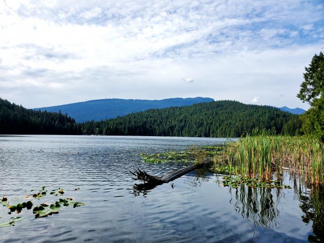 Sasamat Lake View