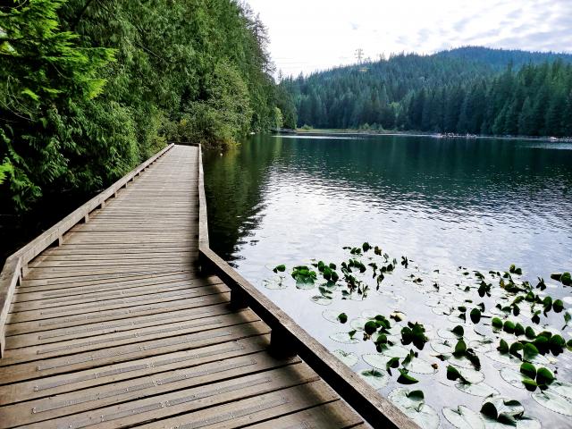 Sasamat Lake Walking Trails