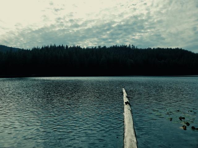 Sasamat Lake Walking Trails