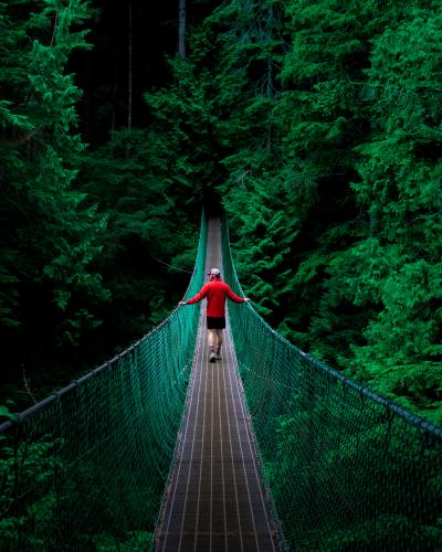 Juan De Fuca Trail