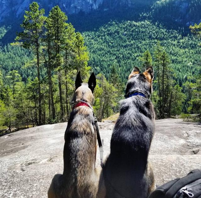 Stawamus Chief Trail