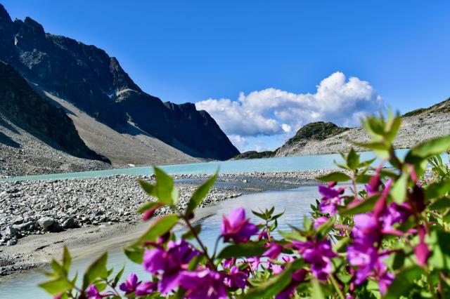 Wedgemount Lake Hike