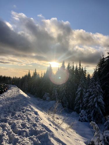 Mt Seymour