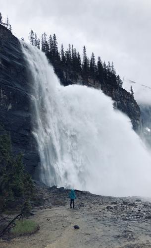 Berg Lake Trail