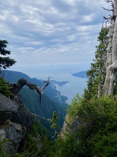 St Marks Summit