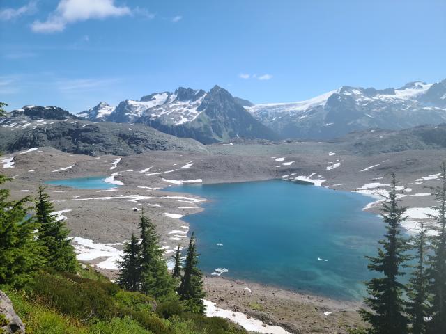 Opal Cones Trail Photo | Hiking Photo Contest | Vancouver Trails