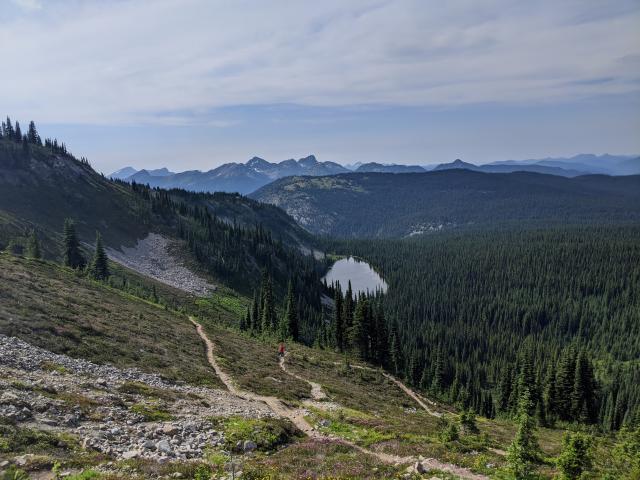 Heather Trail