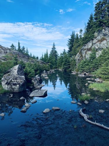 Mount Seymour Main