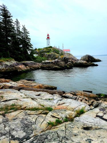 Lighthouse Park Trails