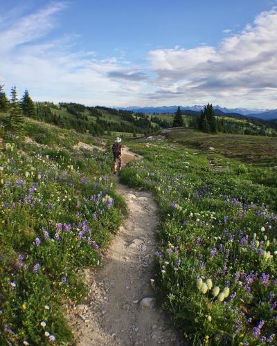 Three Brothers Mountain Via Heather Trail