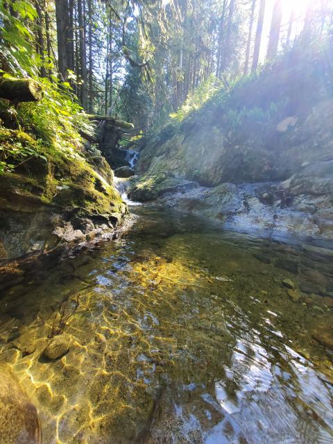 Crystal Falls Coquitlam