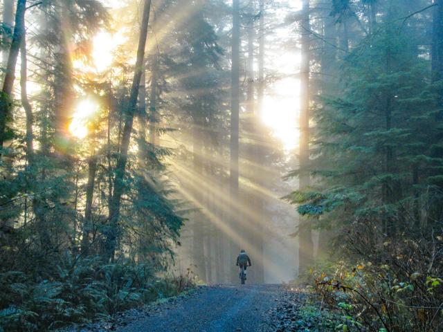 Homestead Trail