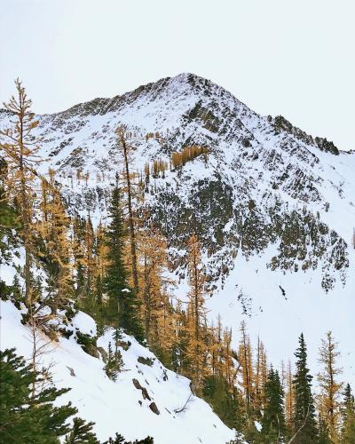 Frosty Moutain