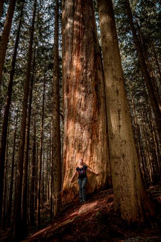 Kennedy Falls/Big Cedar Trail