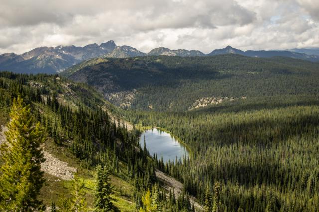 Nicomen Lake Trail