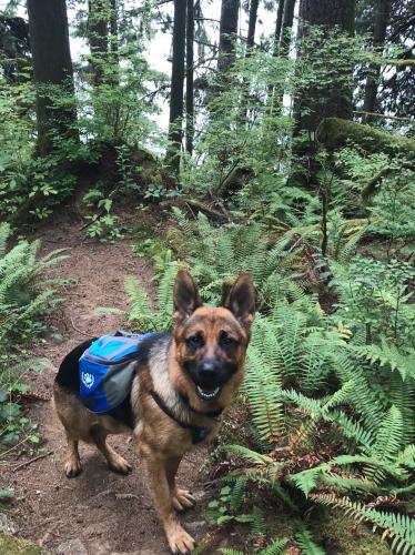 Reservoir Trail