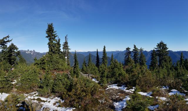 Hollyburn Mountain