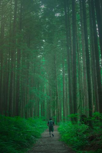 Alloutte Mountain Trail