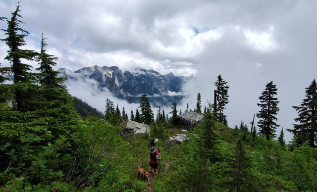 Crossover From Mt. Slesse Memorial Trail