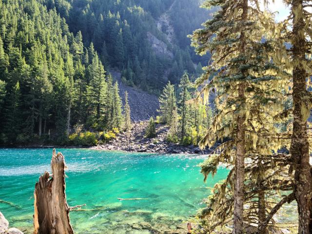 Lindeman Lake