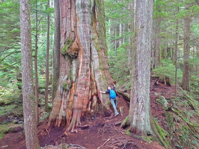 Kennedy Falls Trail