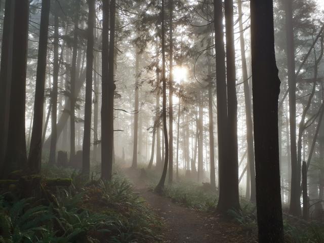 Hayward Lake Reservoir Trail