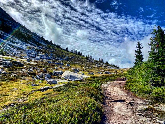 Whistler Blackcomb Trail