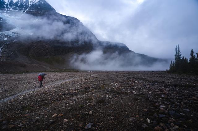 Berg Lake Trail