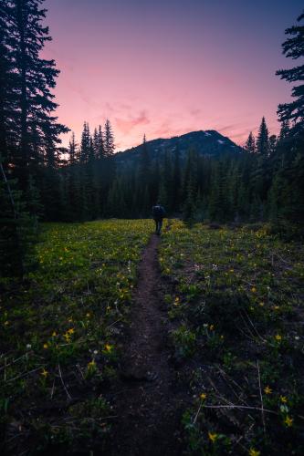 Heather Trail