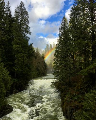 Coho Loop Trail