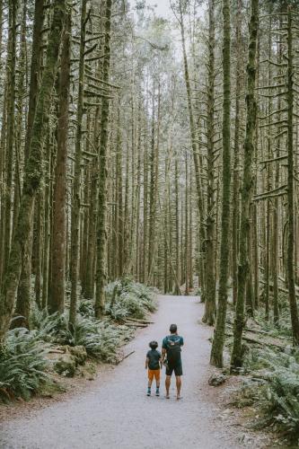 Lower Falls Trail