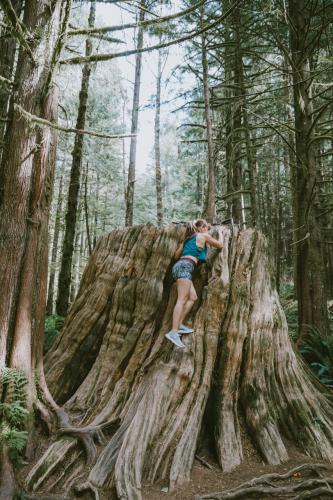 Lower Falls Trail