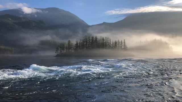 Skookumchuck Narrows