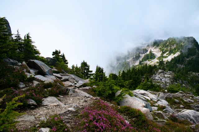 The Lions Binkert Trail