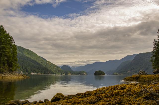 Jug Island Beach Trail