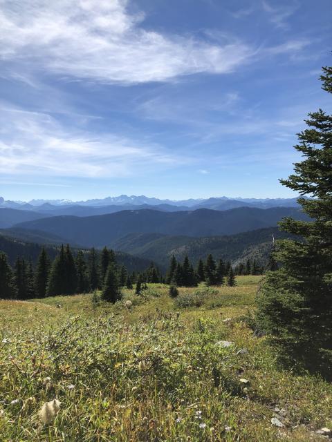 Three Brothers Via Heather Trail