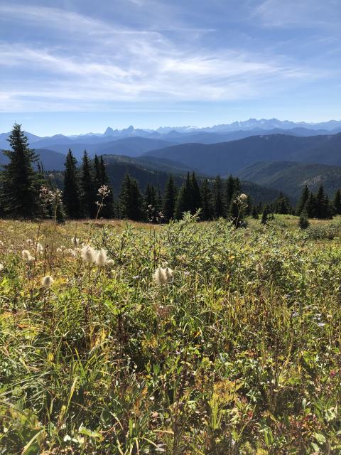 Three Brothers Via Heather Trail