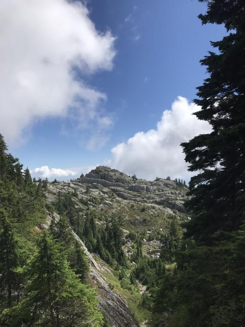 Mount. Seymour Main Trail