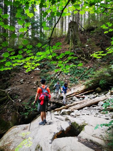 Big Cedar And Kennedy Falls