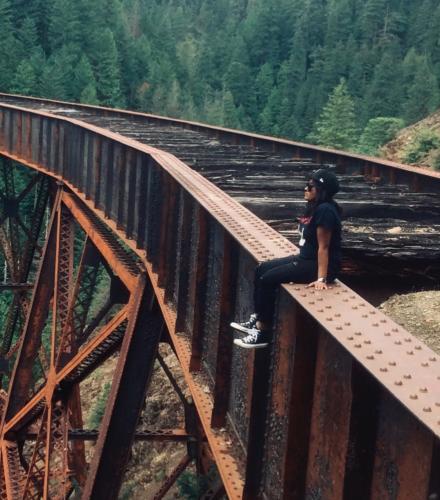 Ladner Trestle