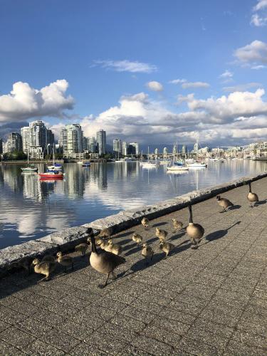 Vancouver Sea Wall