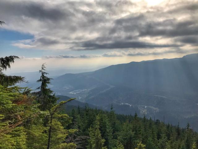 Coquitlam Lake View Trail