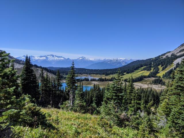 Panarama Ridge Trail