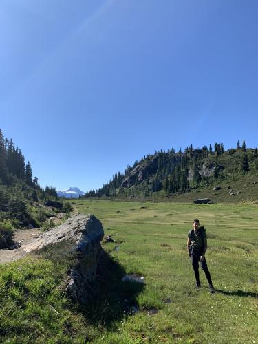 Brandywine Meadows